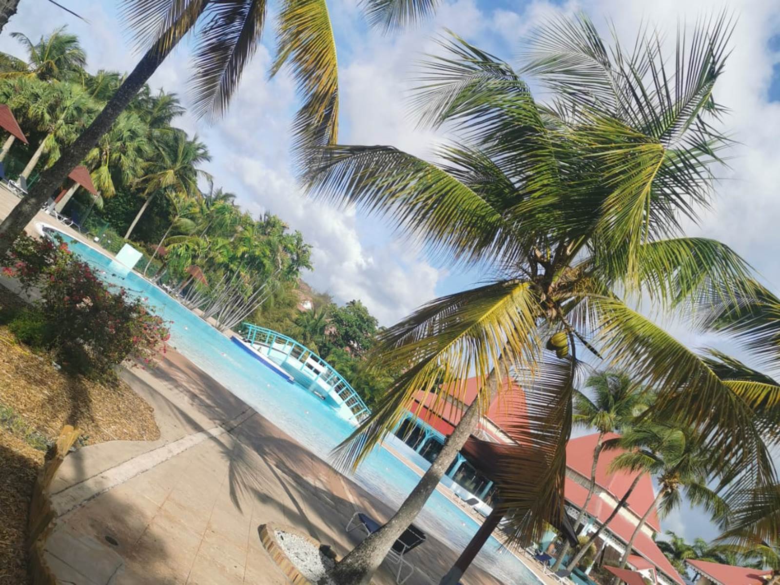 Piscine et bains de soleil