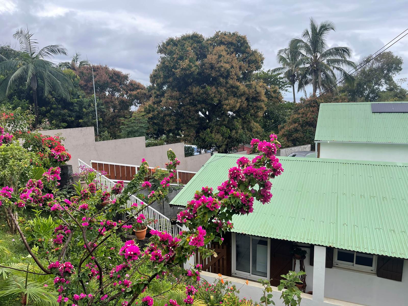 Vacances Ile de la Réunion