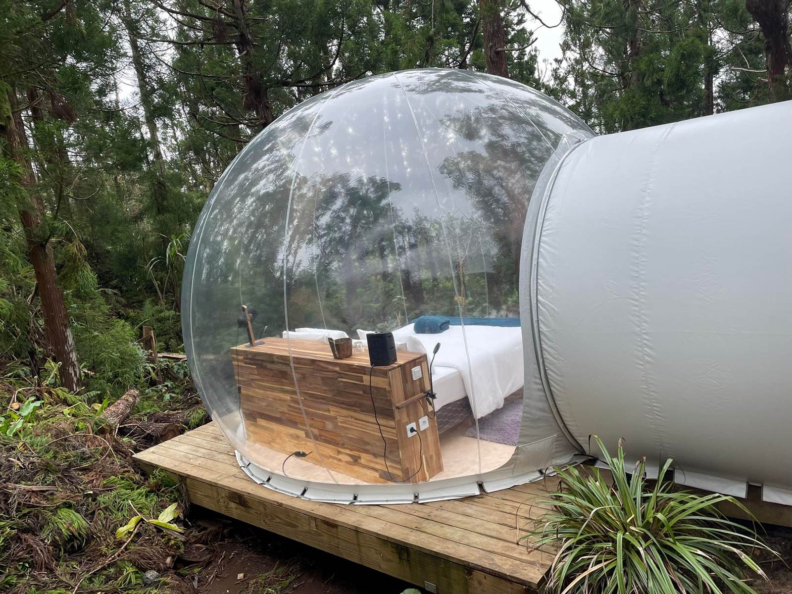 277943511_346117700815067_6731512619954728398_n