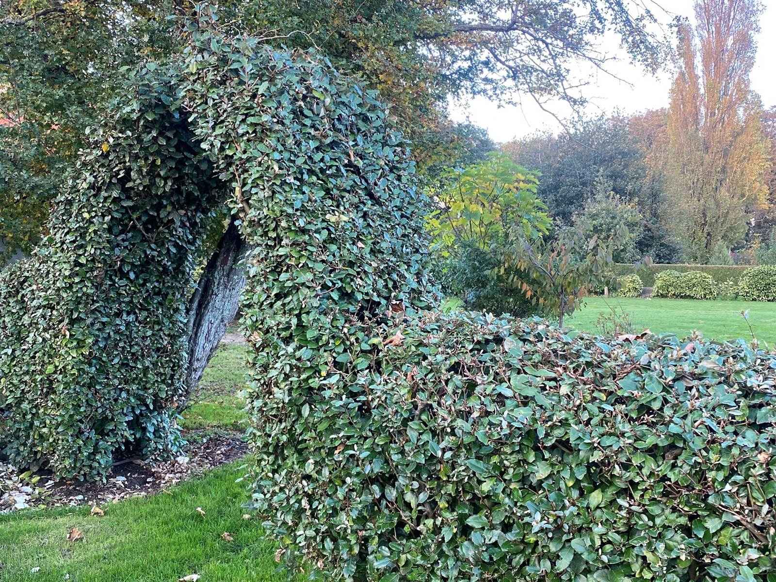 La Bercerie Jardin