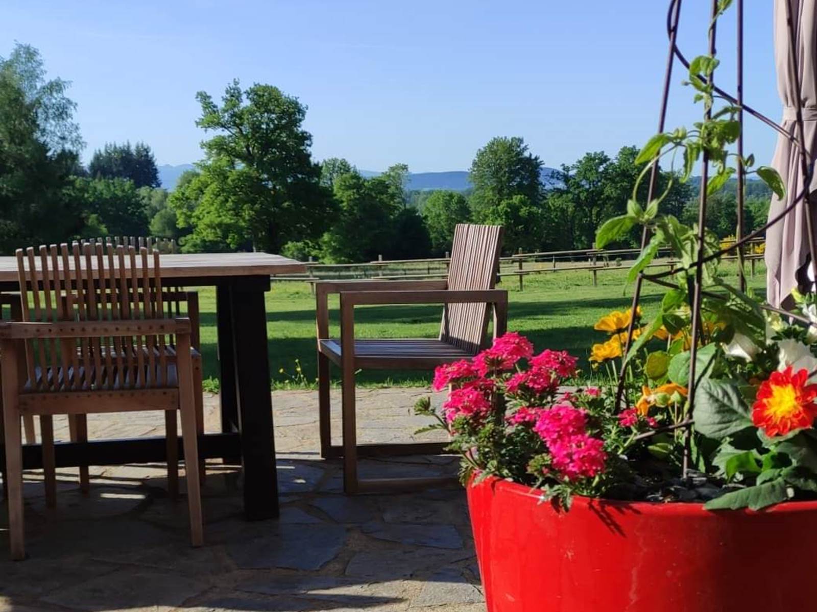 chambreshotes-fleurs-terrasse-été-couleurs-hautecorrèze