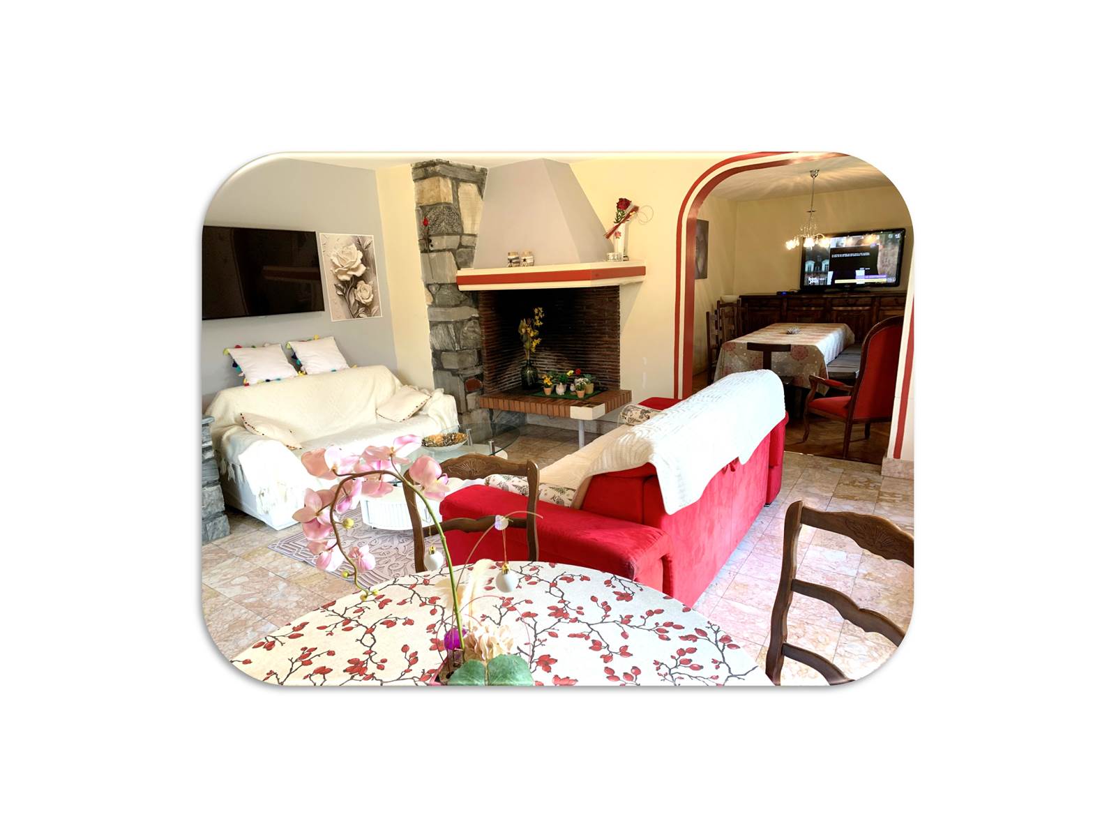 Salon2 fond blanc
