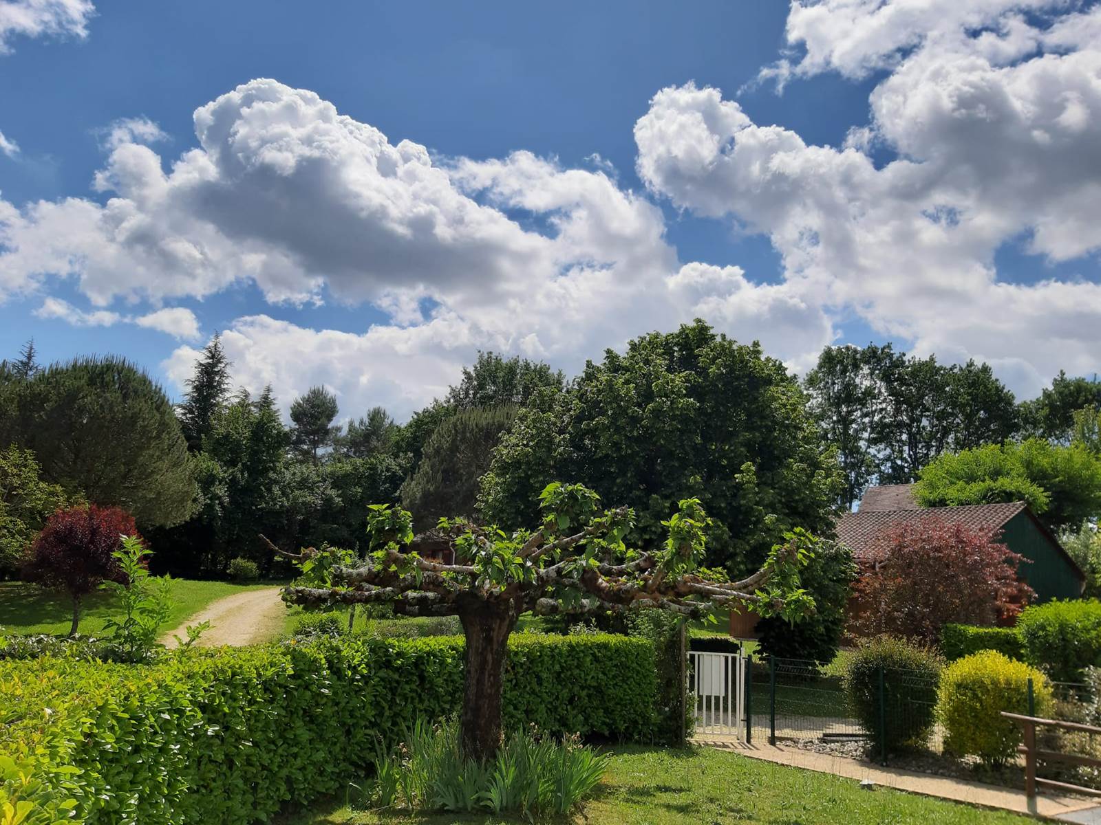 Vue du parc paysager