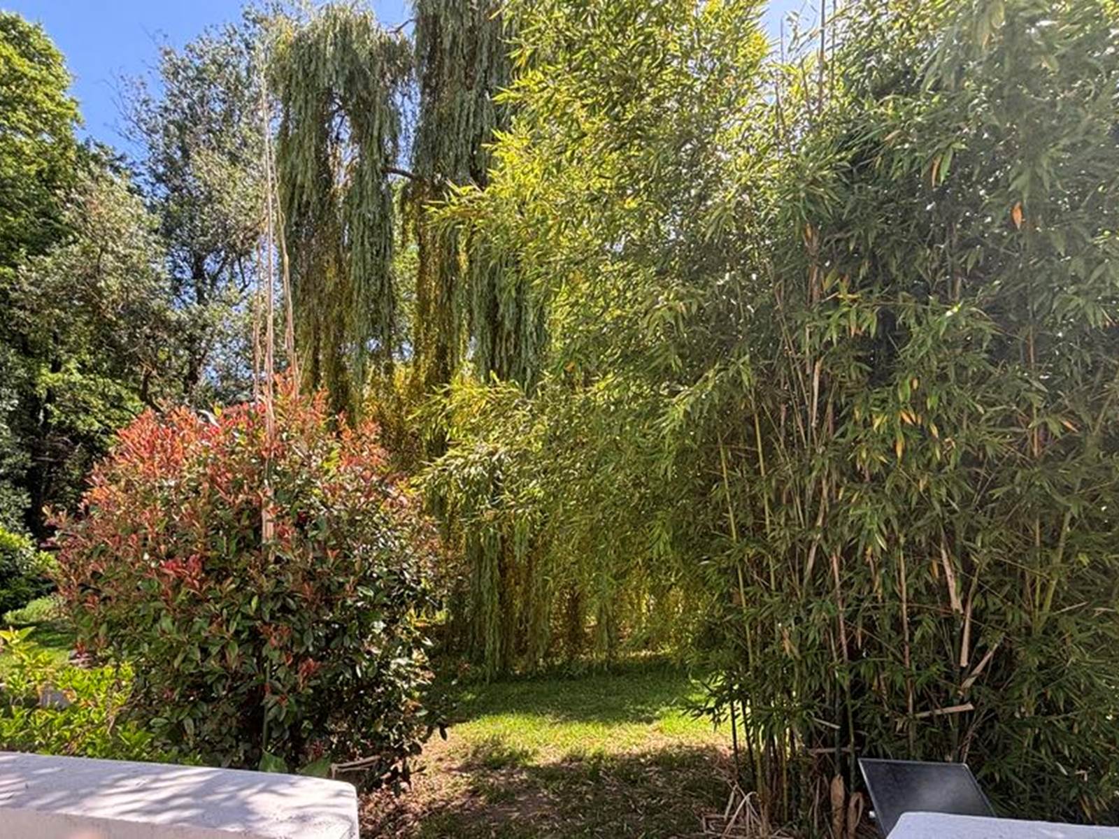 LENA EXT 2 - GITES TERRA DI A BRAVONA