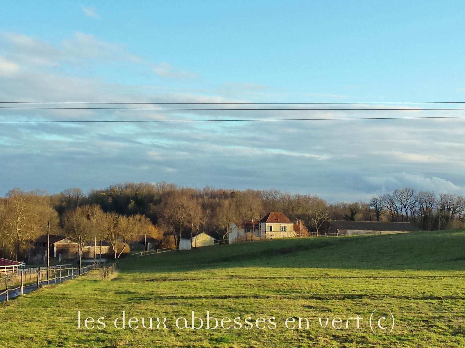 Haras Laurence Of Arabians