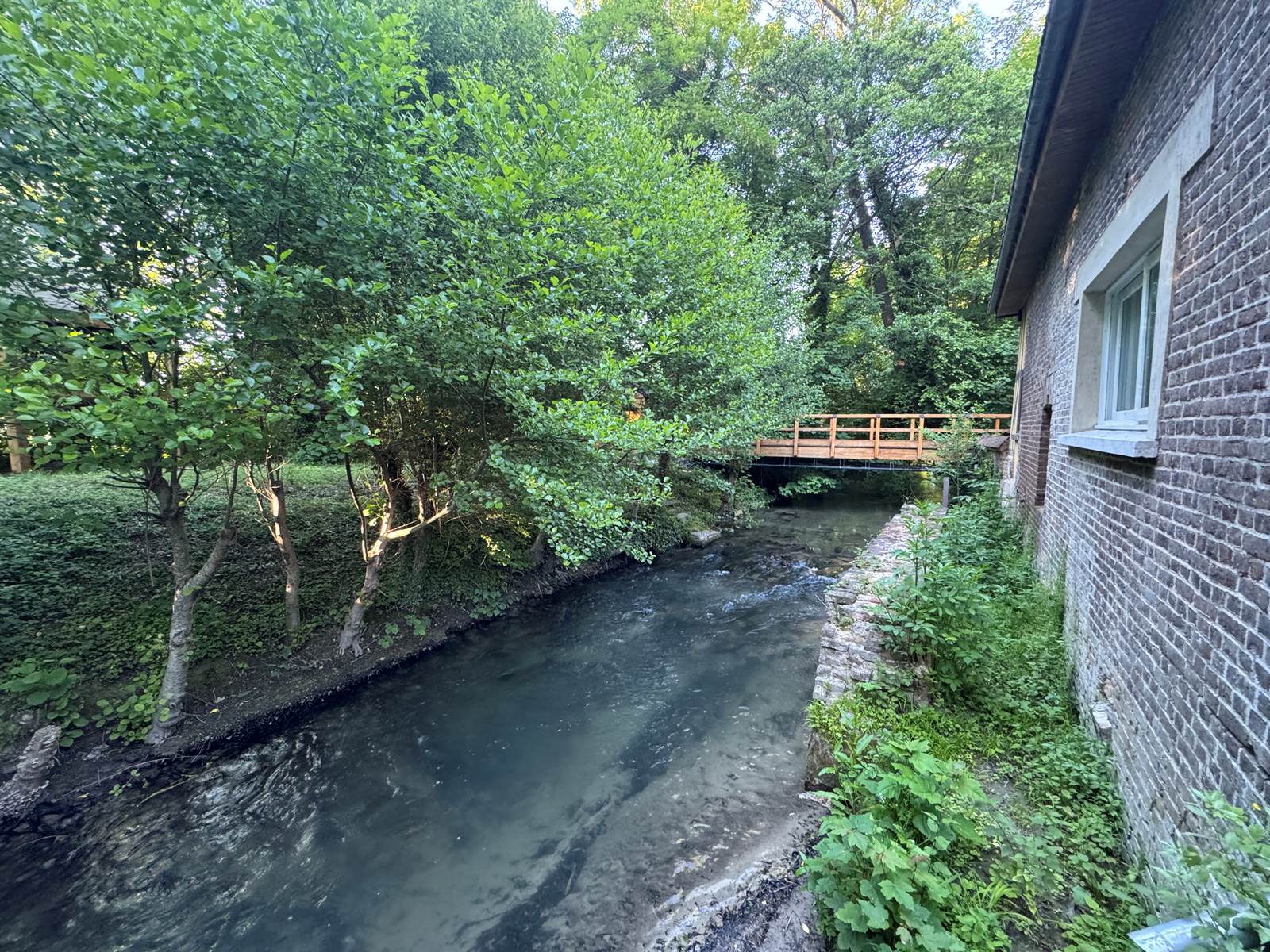 pont île merveilleuse