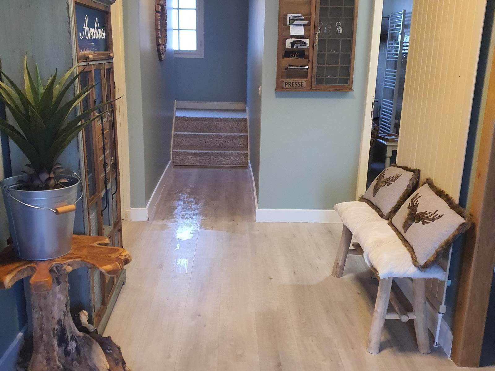 20250211_111024-carousel