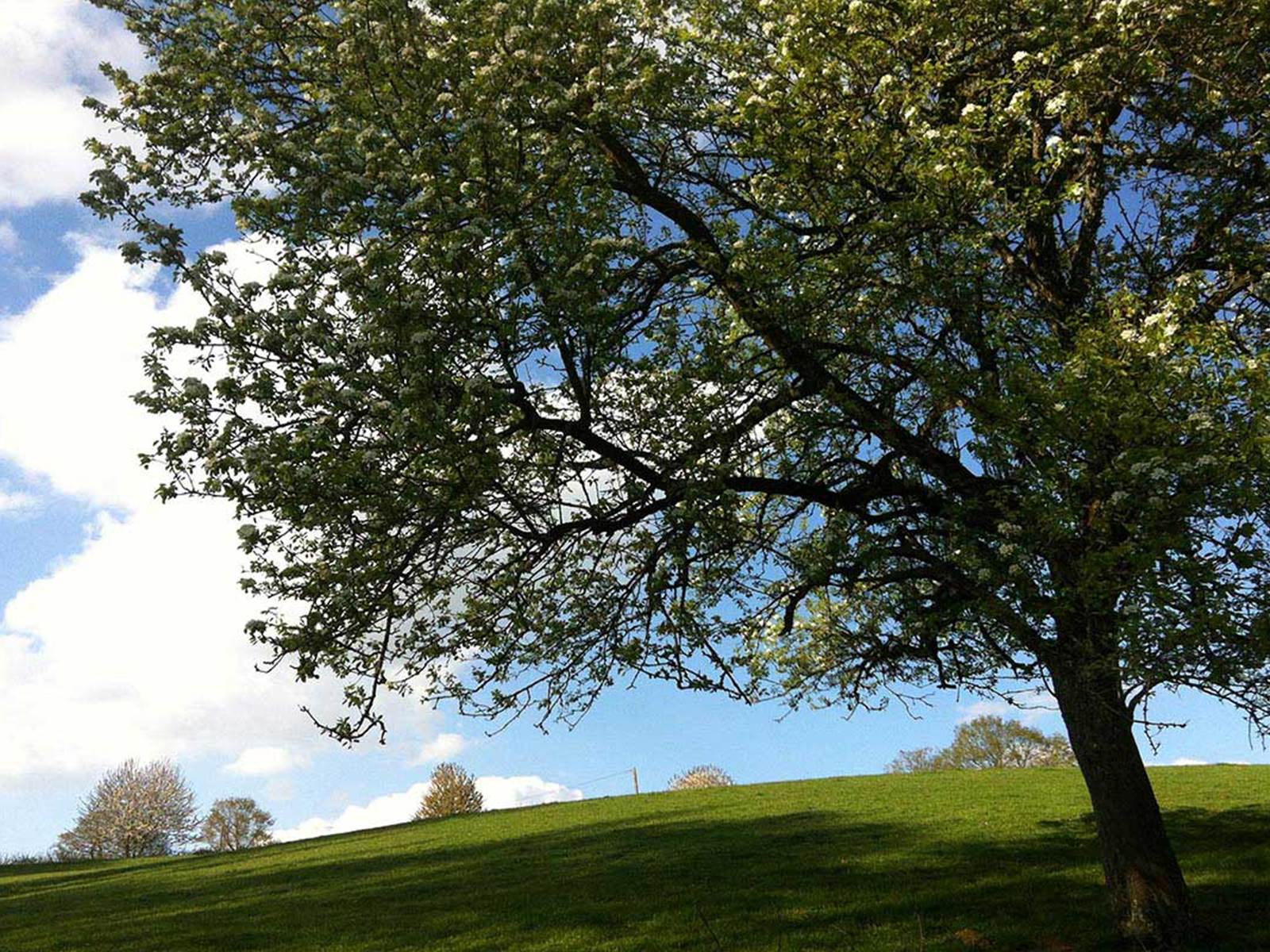 dormir à la ferme dans le cadre authentique de la ferme La Gautraie-carousel