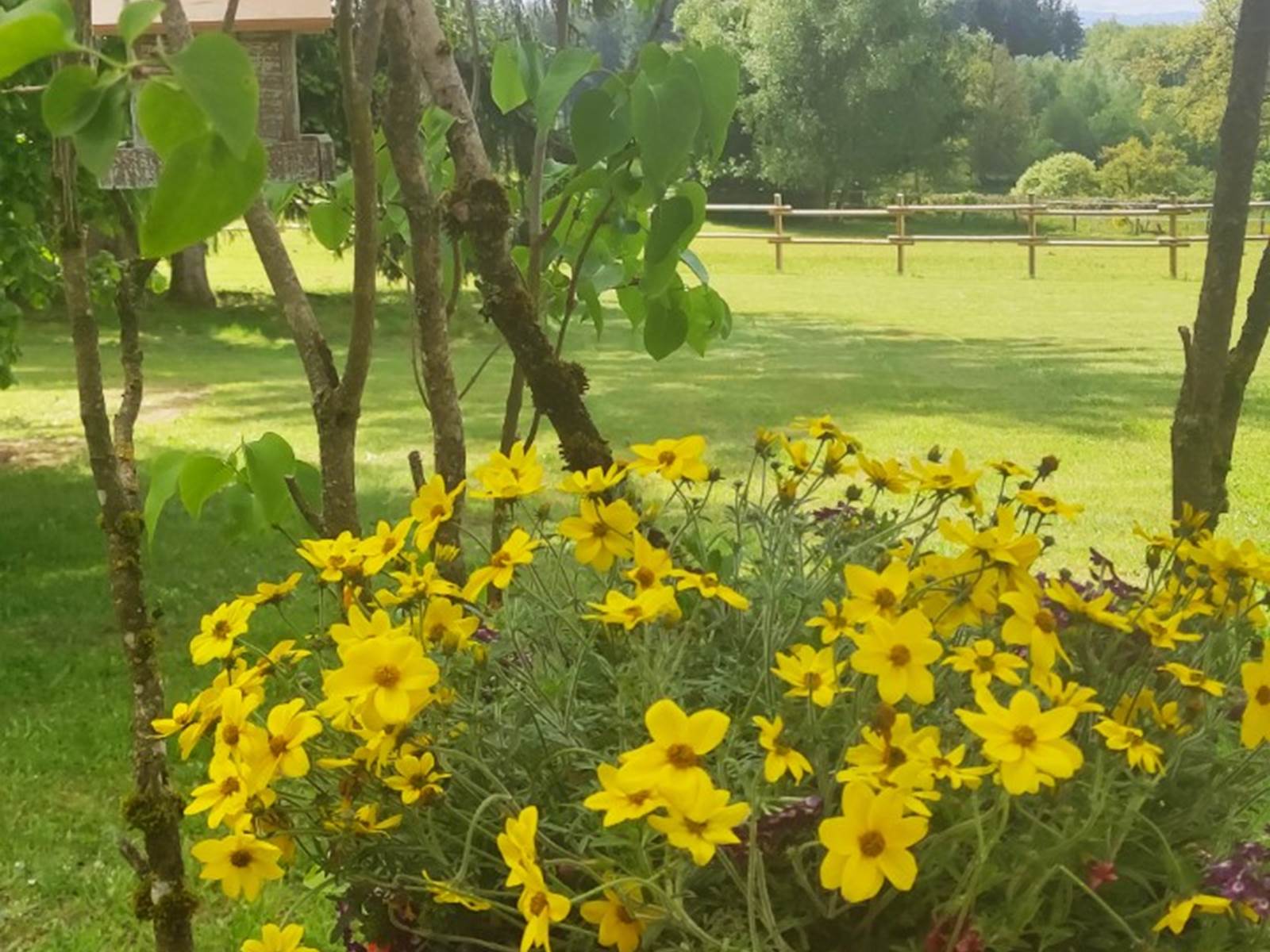 chambreshotes-fleurissement-été-hautecorrèze