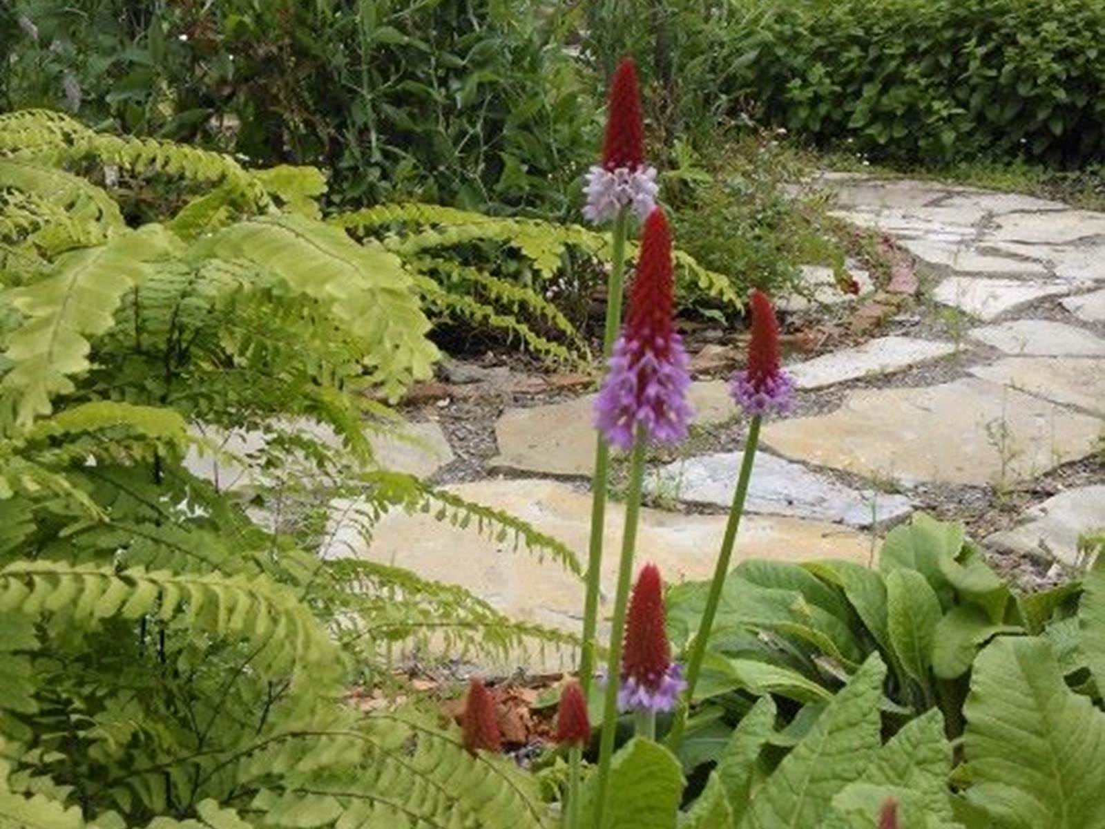 Le jardin Hildegarde de L'Ile de Garde B&B-carousel