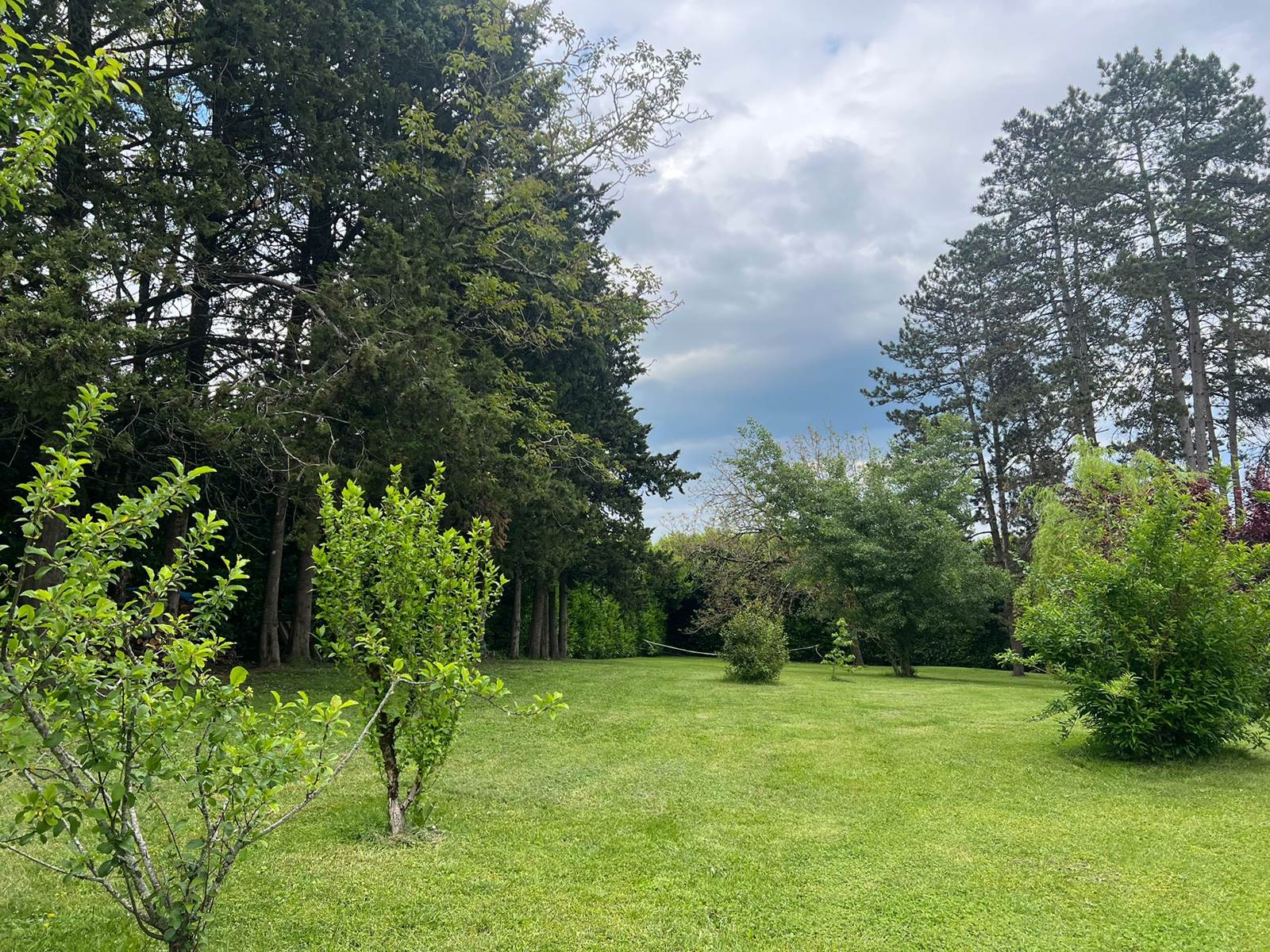 Vue Jardin arboré 5