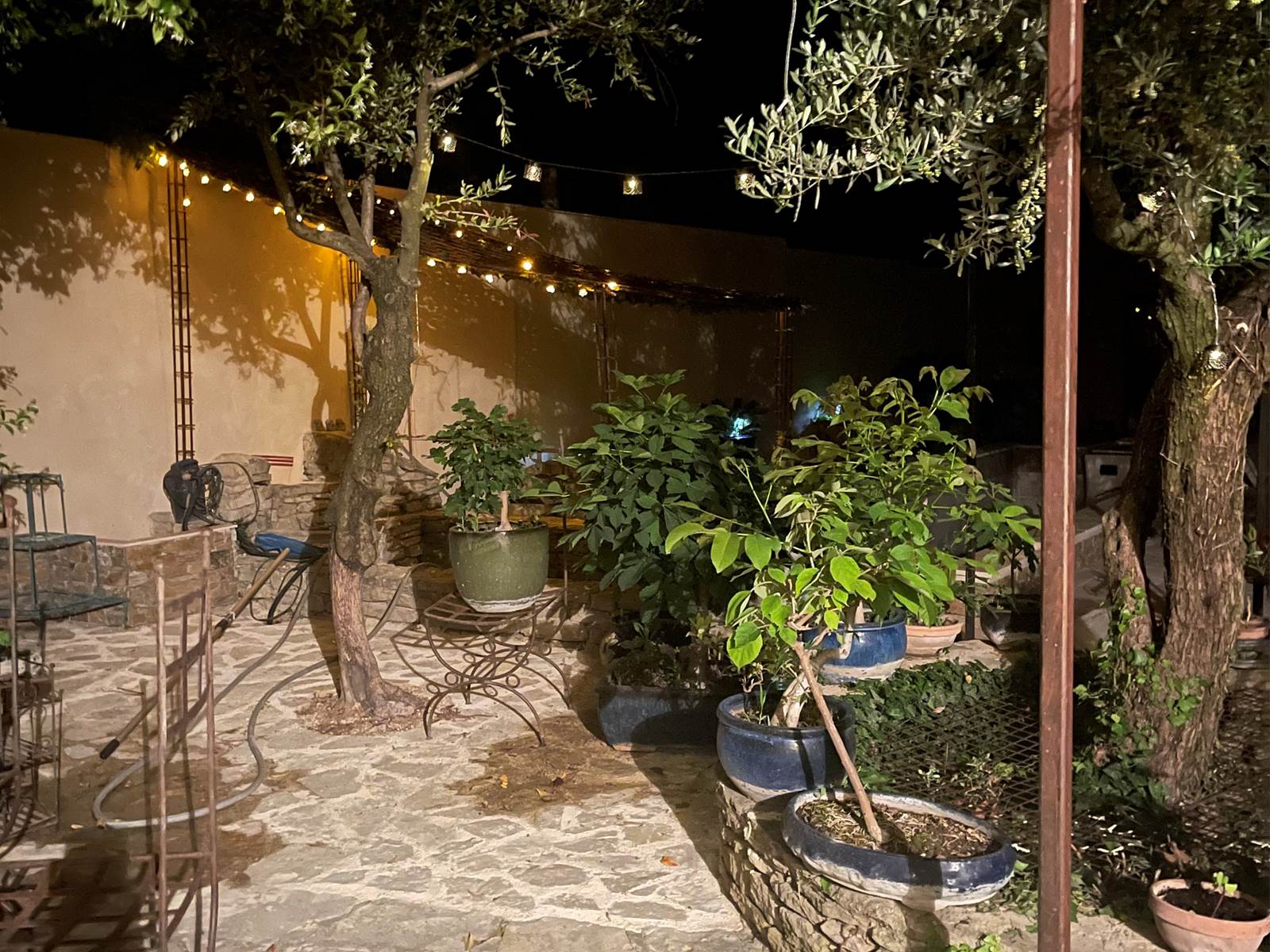 photo_1 (1)-carousel