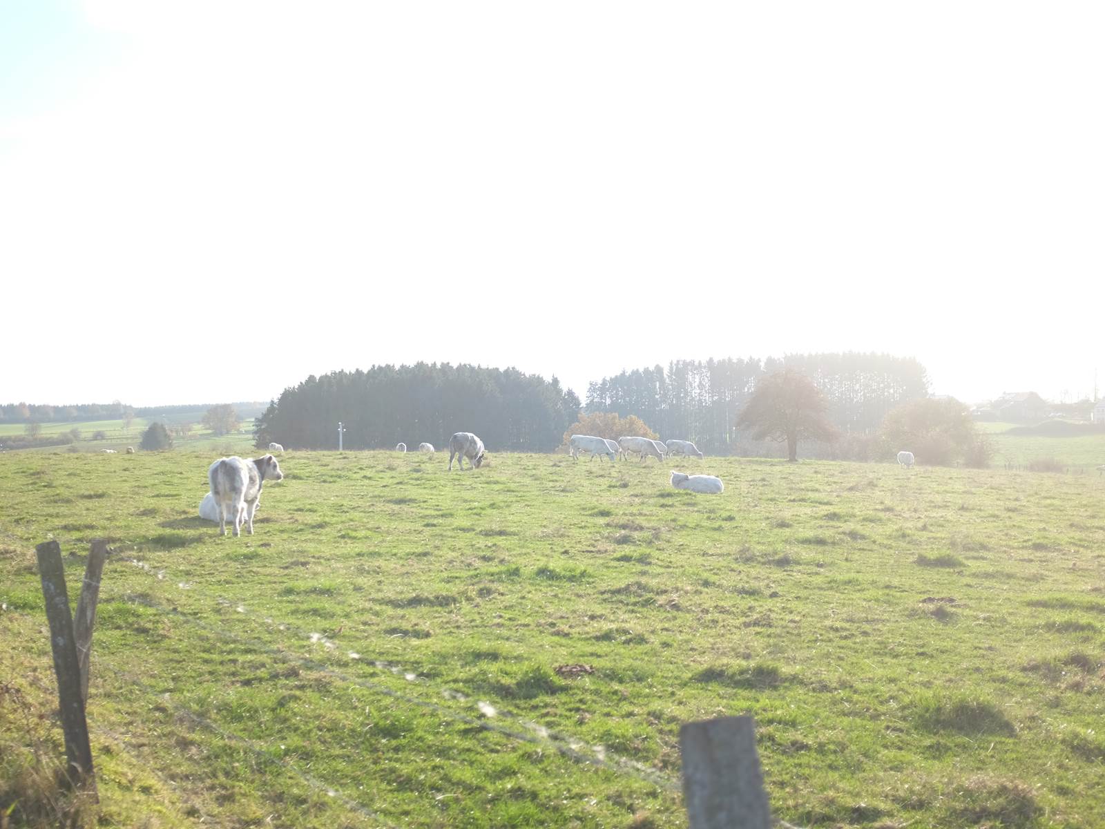 Balade dans le village