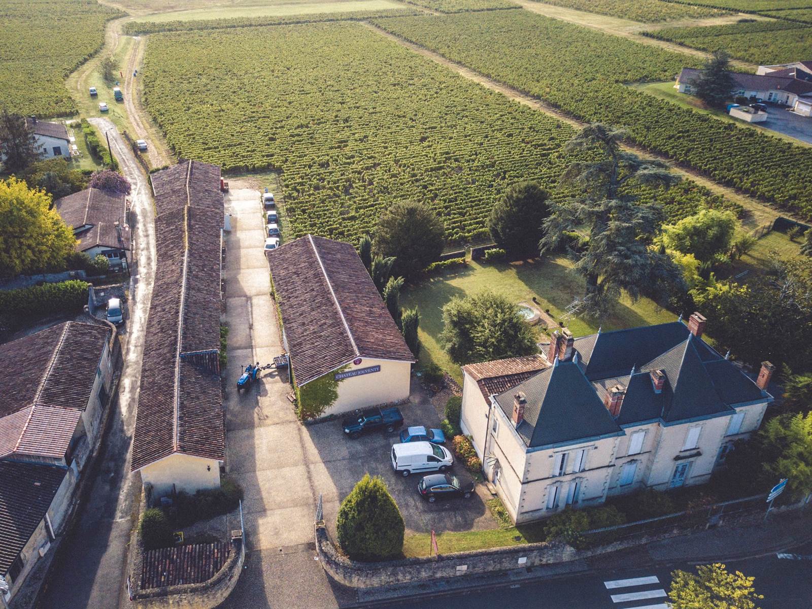 Jouvente et ses vignes (2)