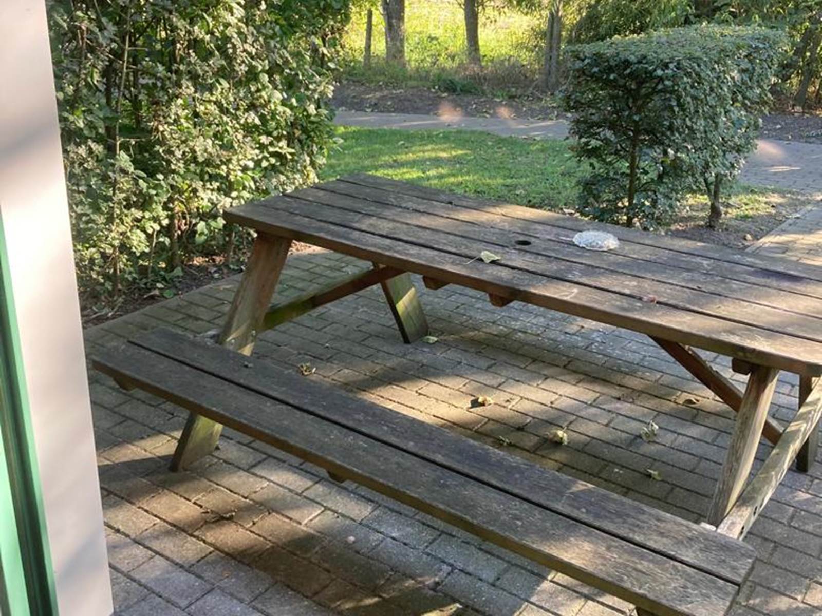 COURGETTE Terrasse