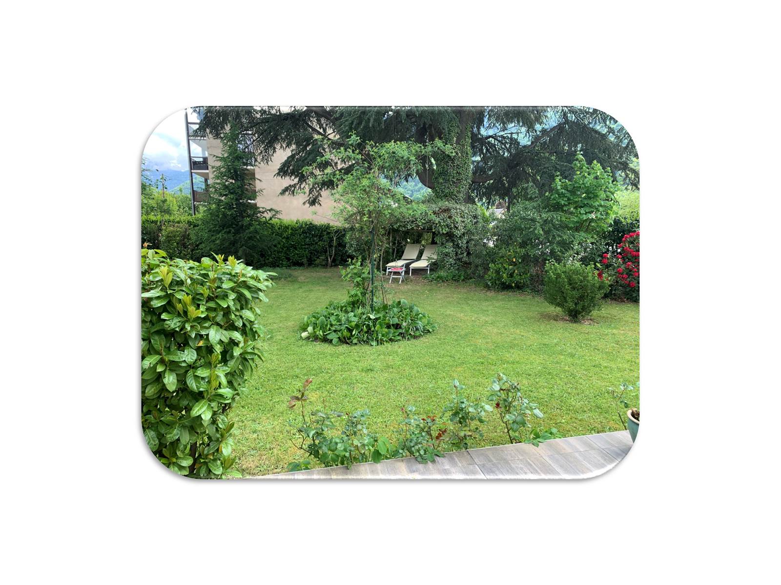 Jardin2 fond blanc