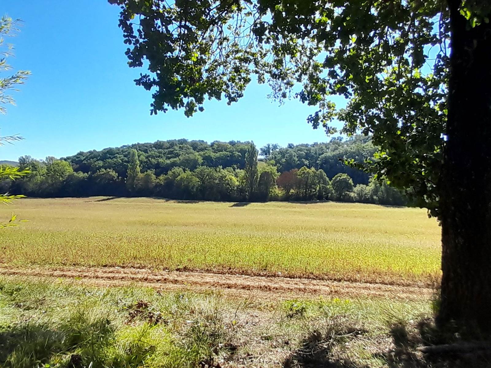 Domaine_de_Calabel©_Pouylebon_vacances_piscine_gers-carousel
