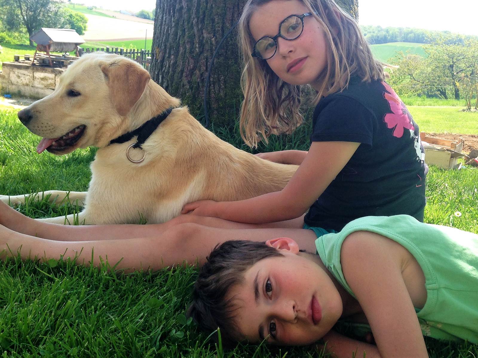 Prune, Léon et César-carousel