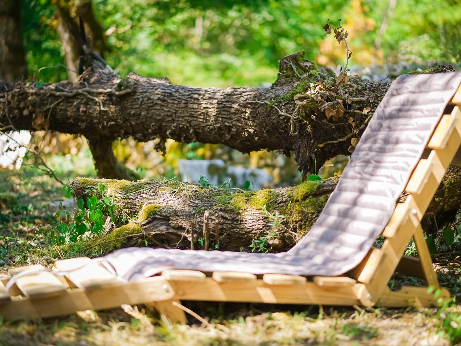 Repos au coeur de nos bois