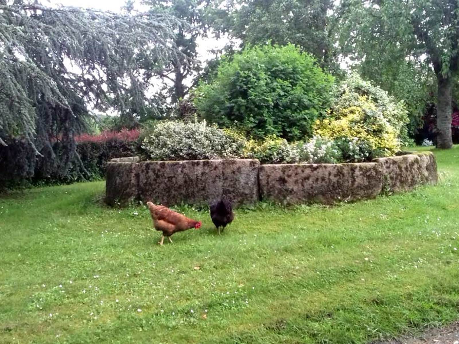 la Gautraie chambre d hotes proche de Fougeres et des jardins de la Ballue-carousel
