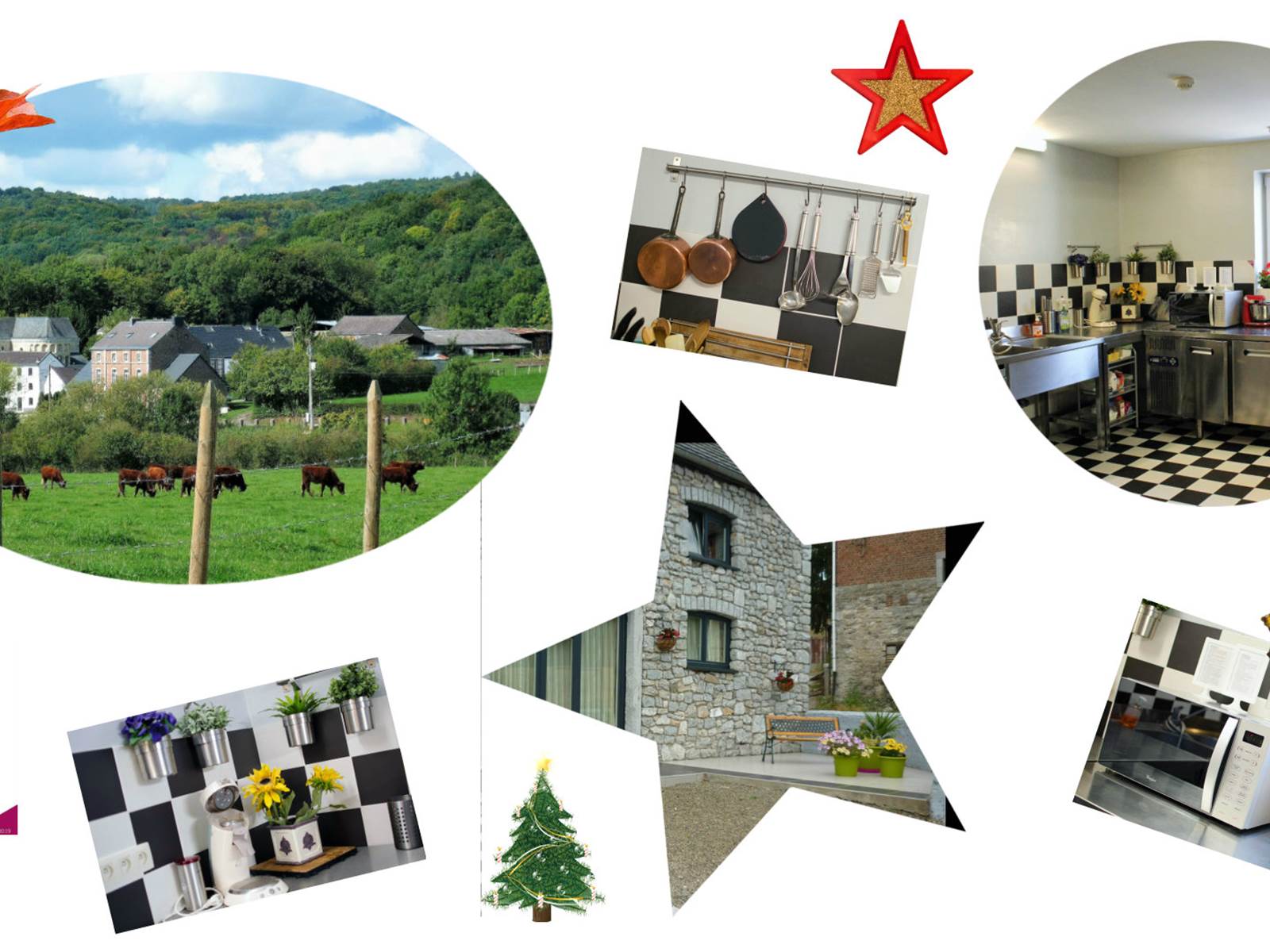 Allons nous nous voir ou nous revoir en 2026 ?