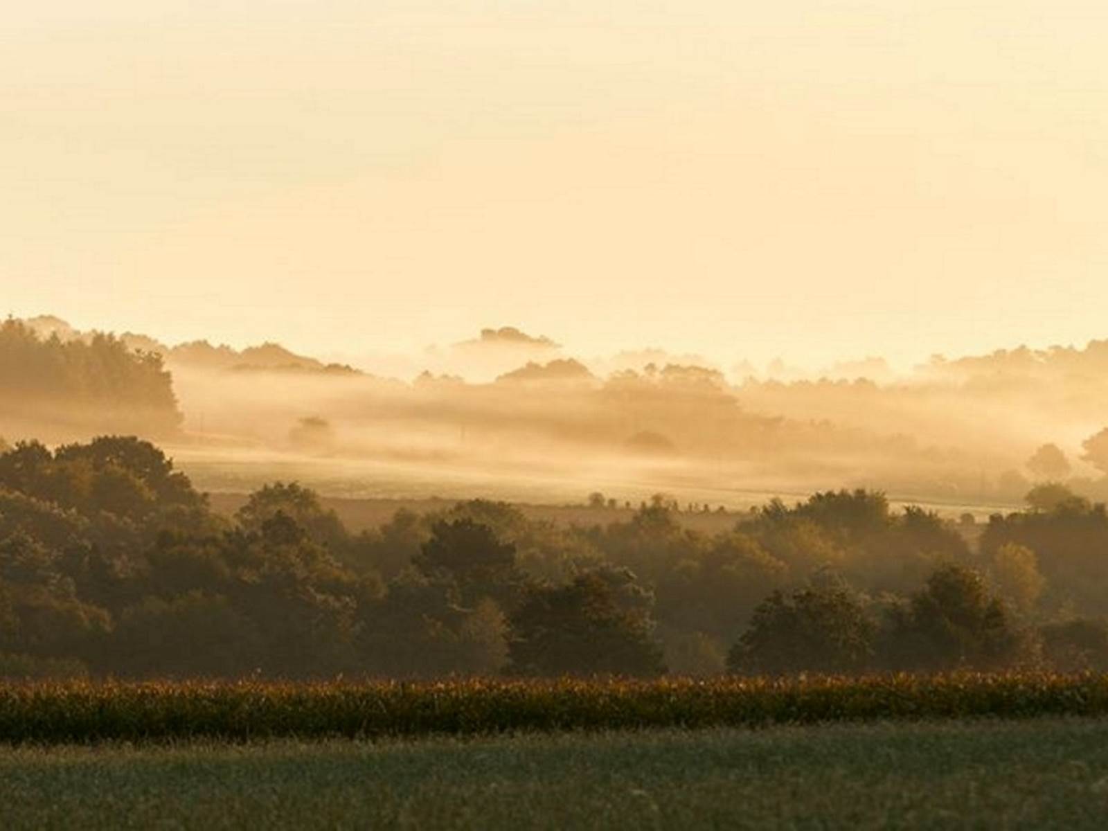 Les landes de Lanvaux-carousel