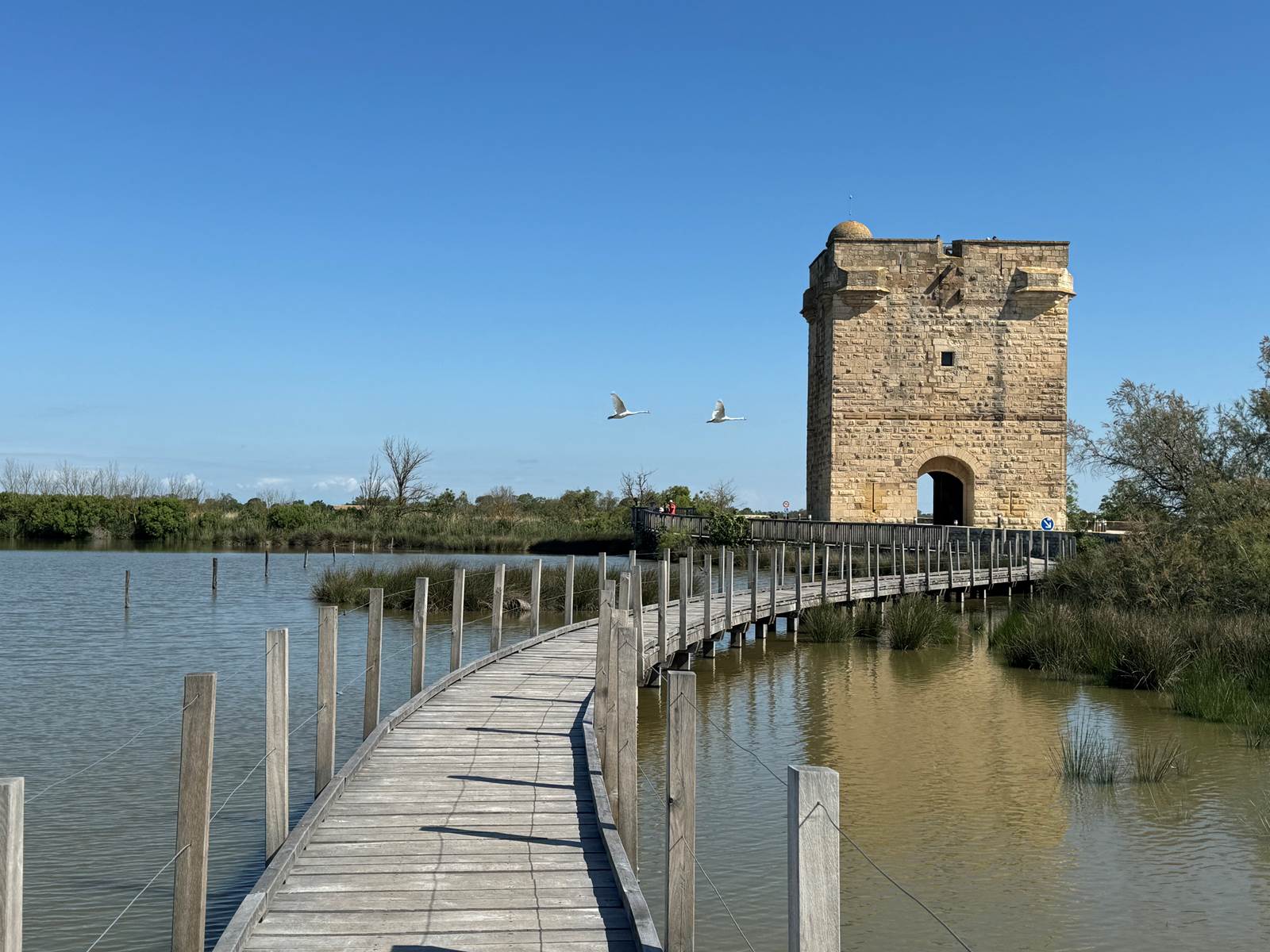 Tour Carbonnière vers Aigues-Mortes