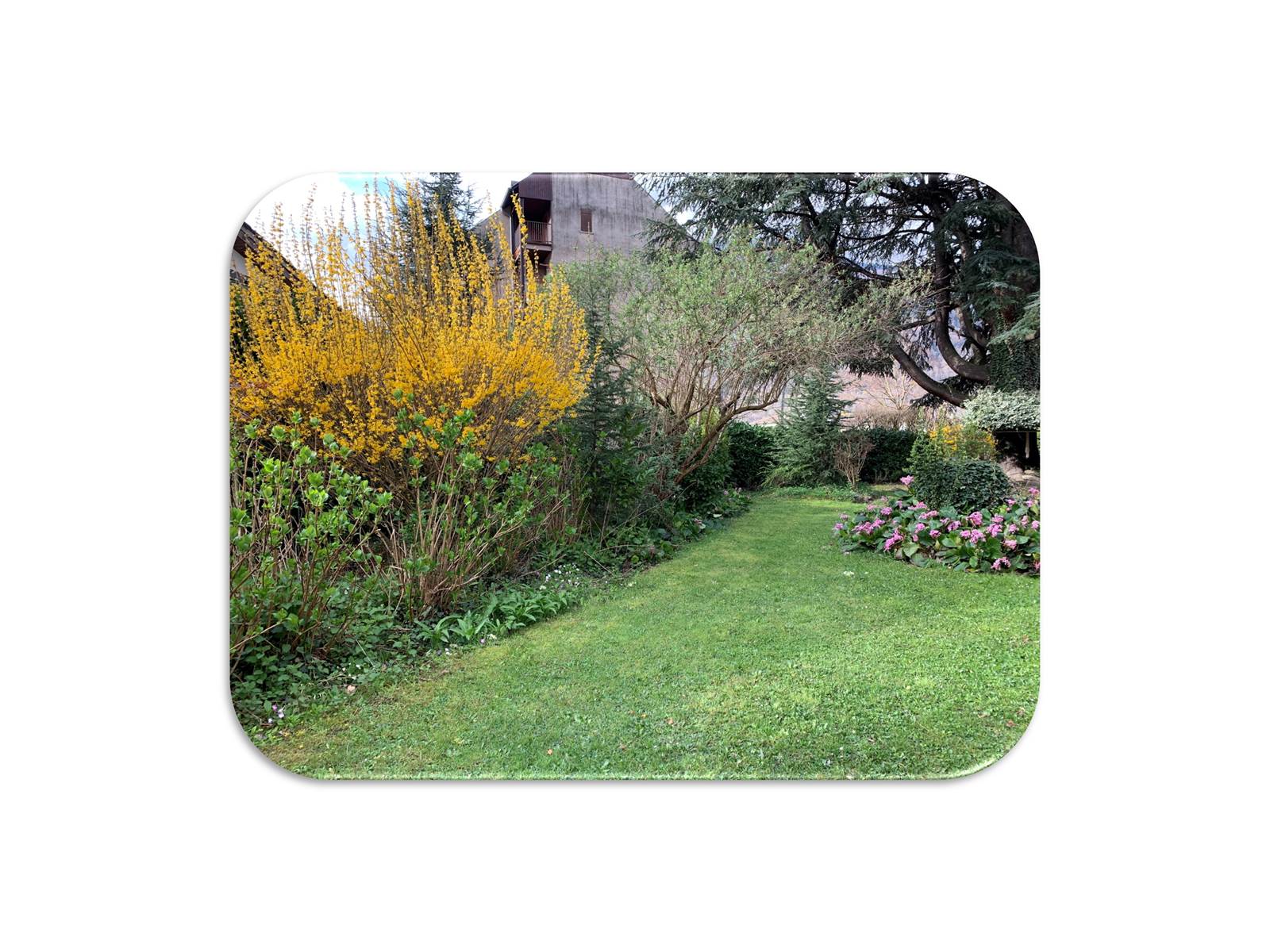 Jardin fond blanc