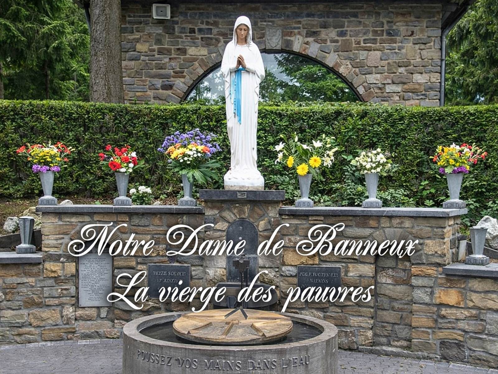 d1cdbcca-6700-4053-b40c-4396715d159d