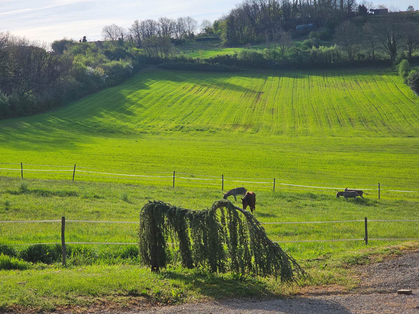 Village de Gîtes = calme, services, piscine