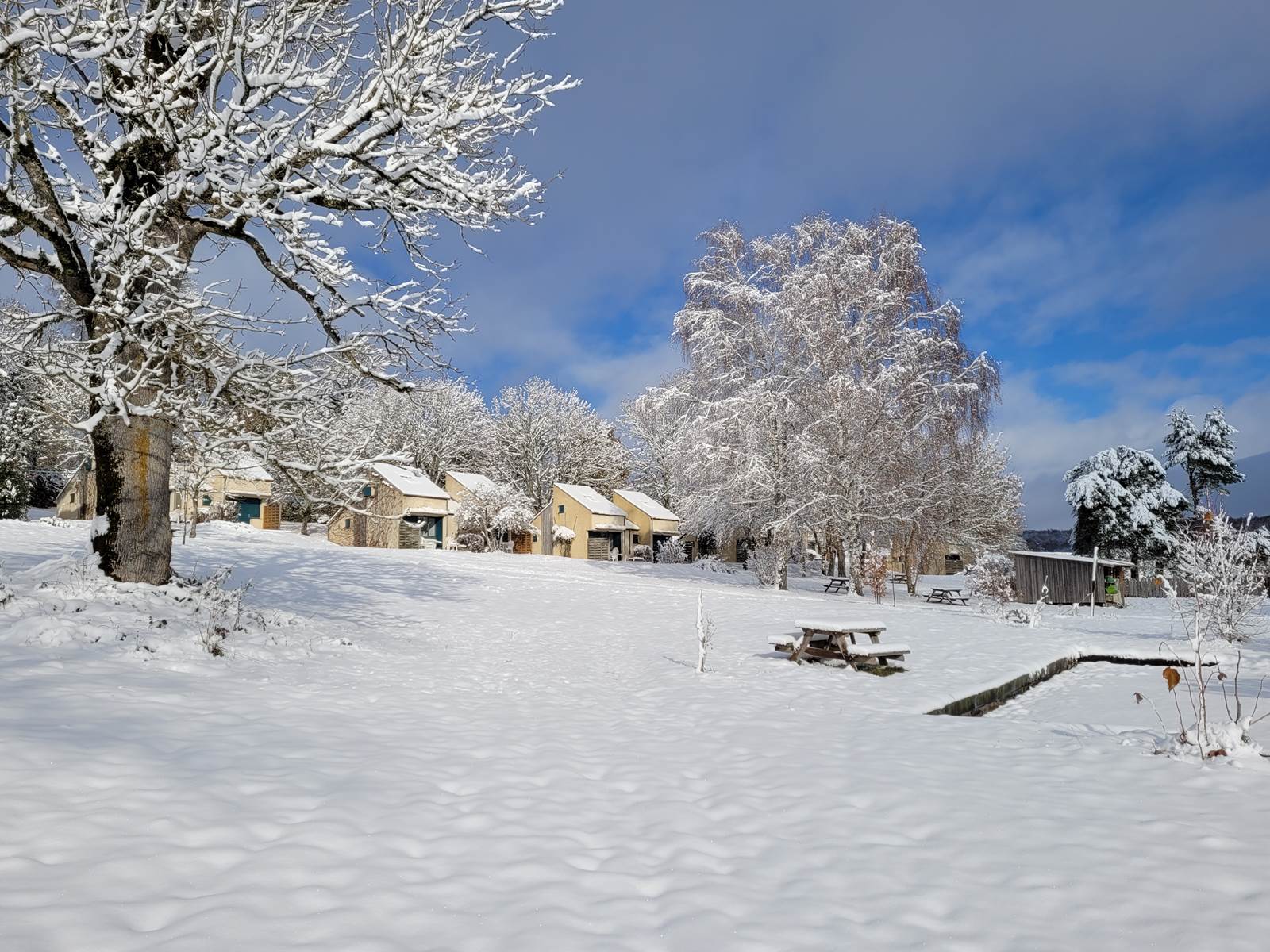 Avec la neige-carousel