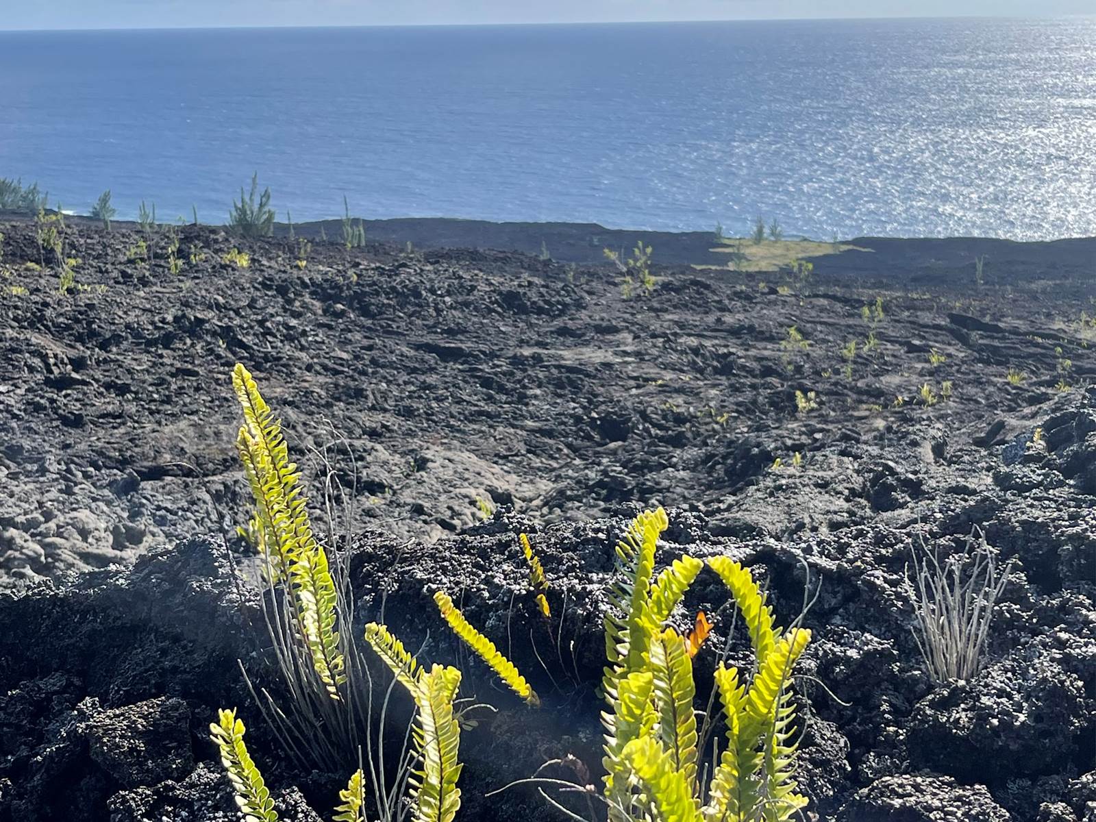 chambre-proche-coulée-de-lave