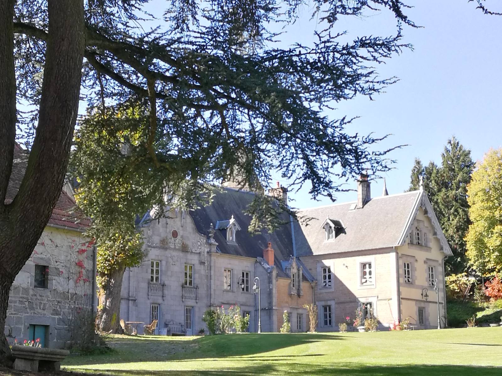 Château de Crocq, côté parc. Cèdre de l'Atlas.