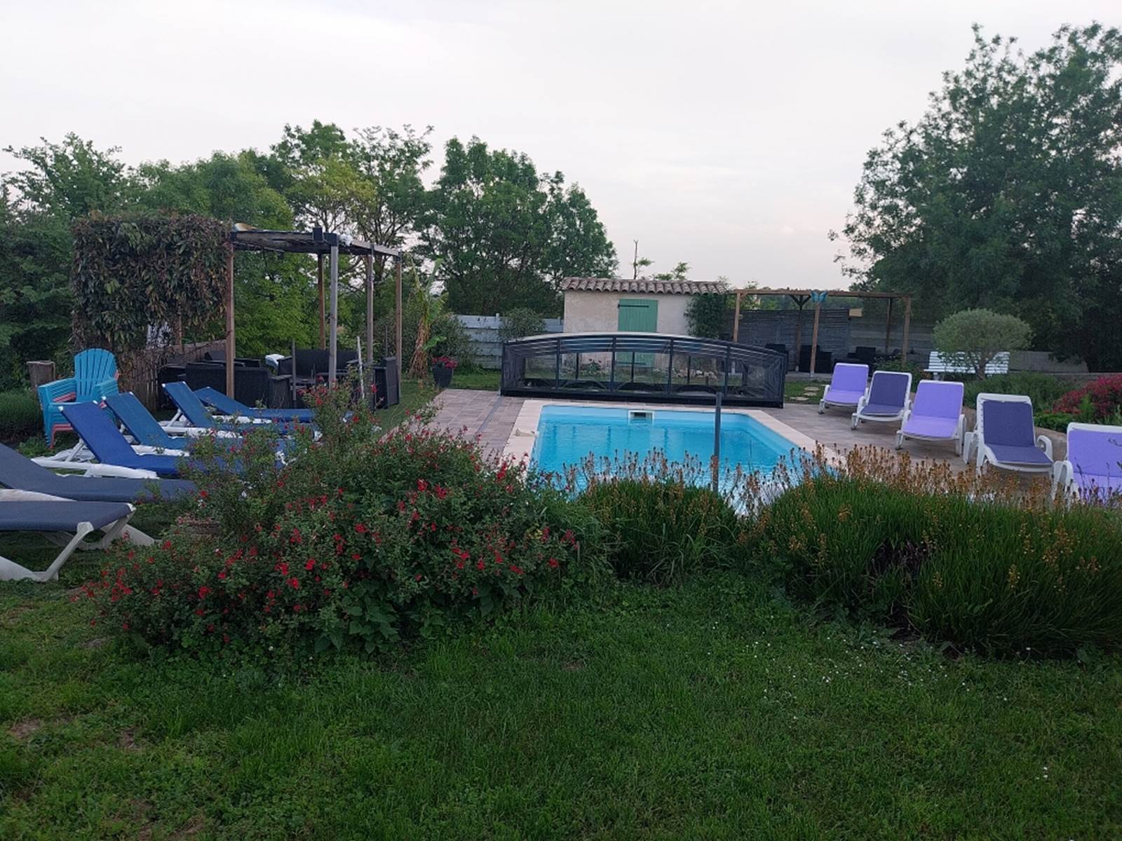 vue piscine avec transats