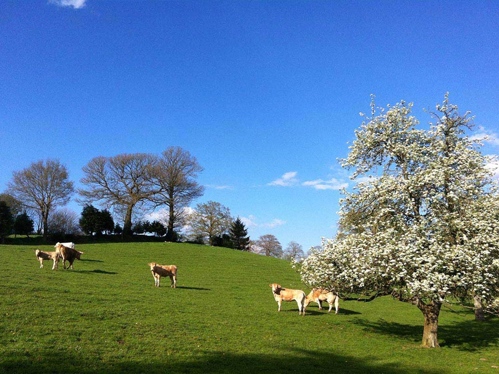 ferme la Gautraie, etape champetre vers le mont Saint-Michel-carousel