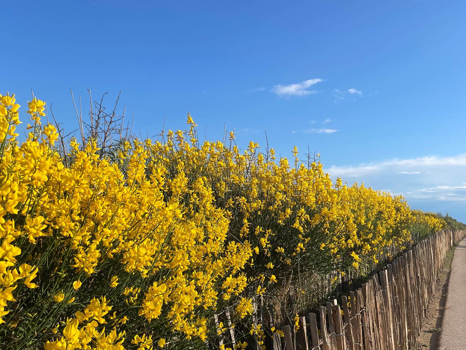 le long de la plage Sète-carousel
