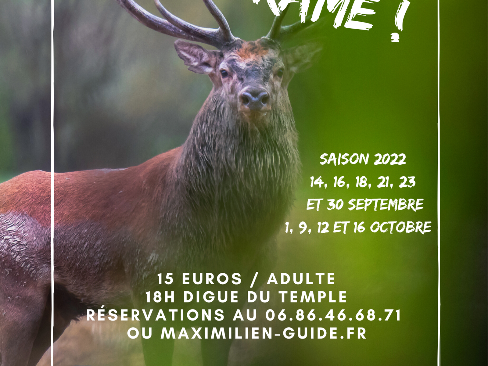 Copie de vivre le brame