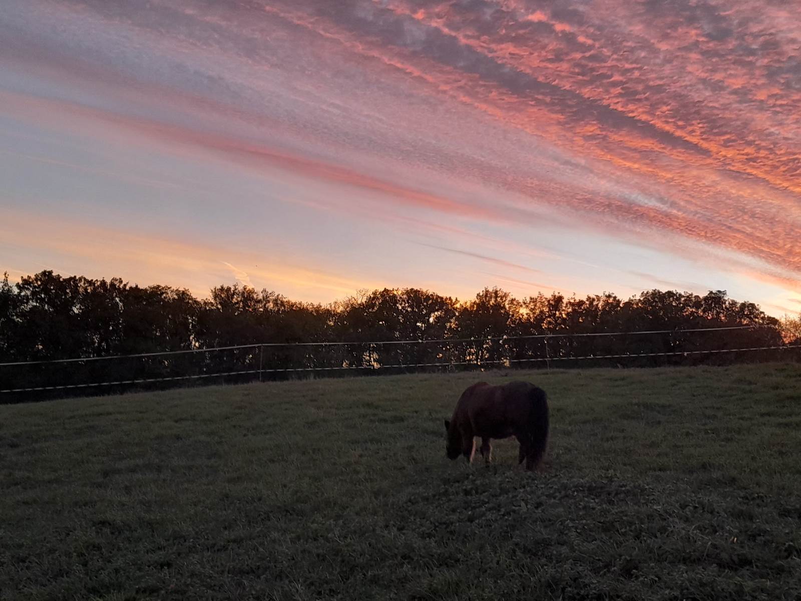 Domaine_de_Calabel©_Pouylebon_vacances_piscine_gers-carousel