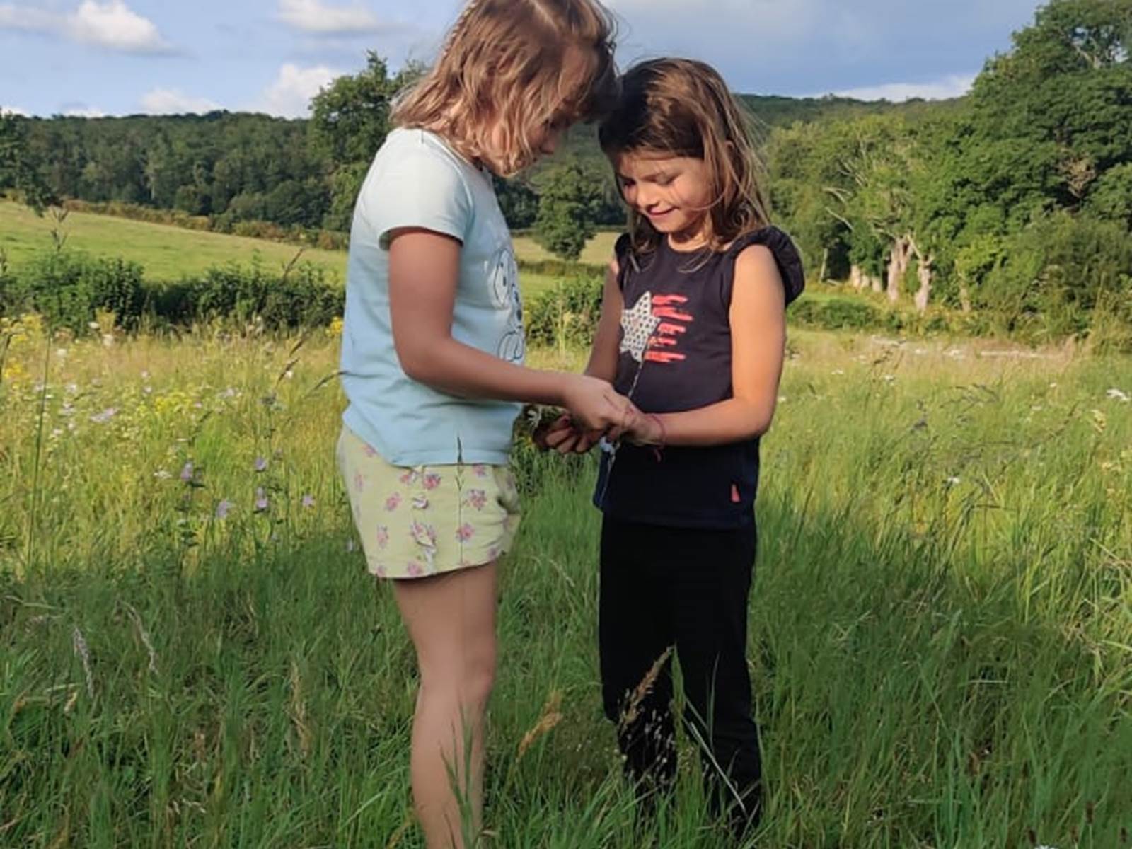 Découverte de la Nature-carousel