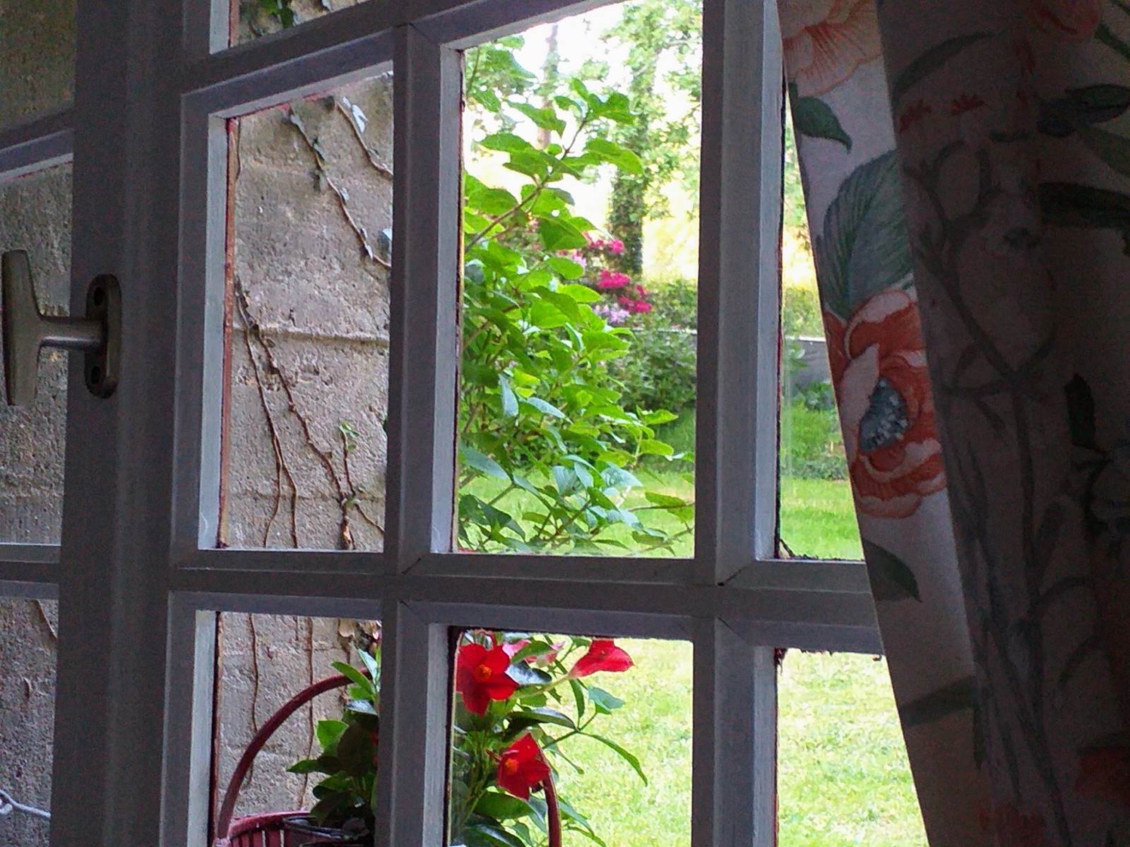 Petite vue du gîte sur le parc-carousel