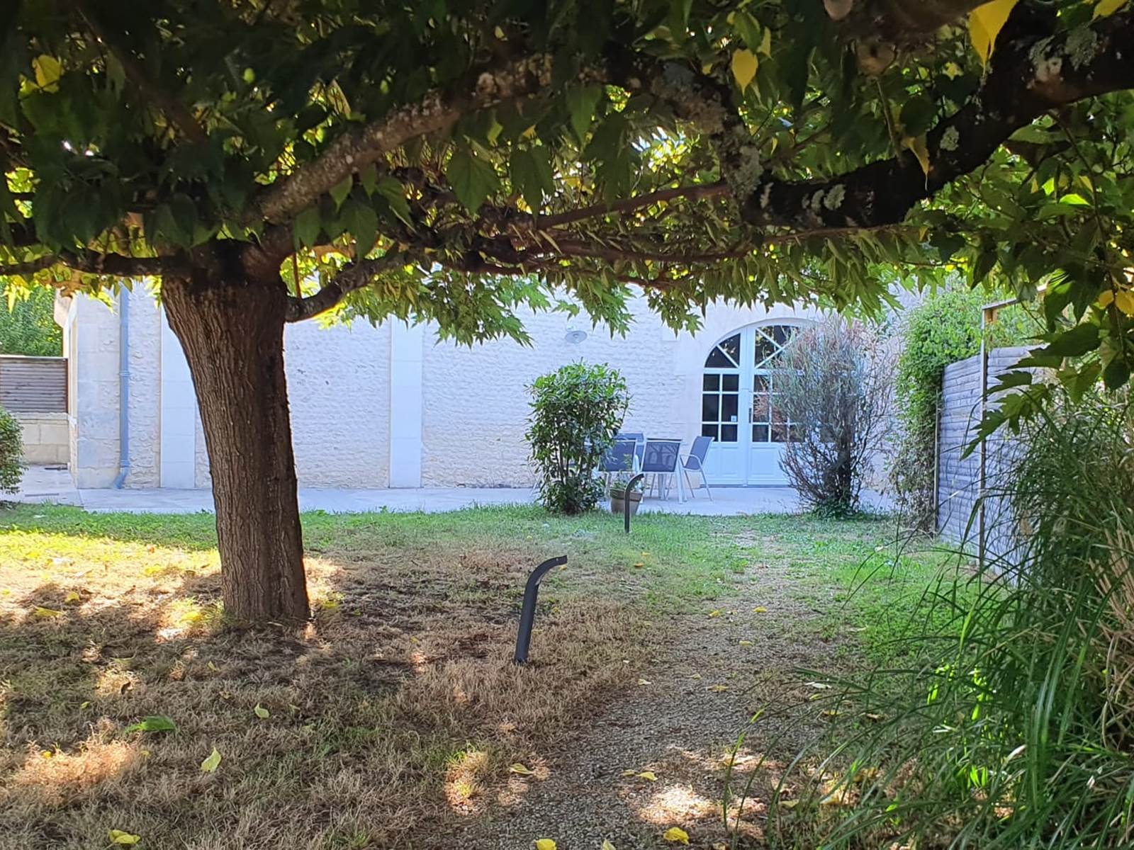 Eucalyptus Terrasse extérieure sur jardin privatif-carousel