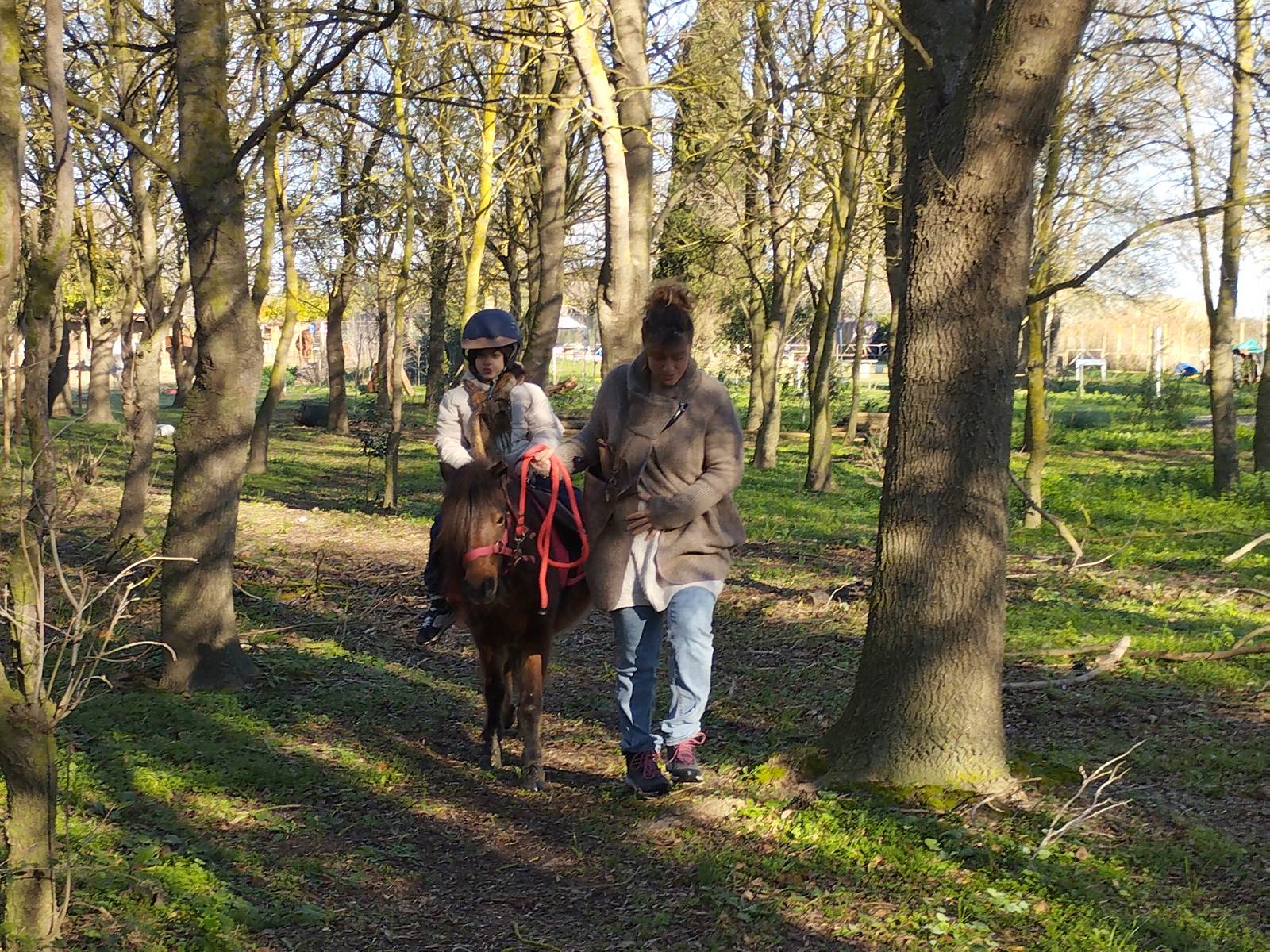 balade à poney Pyrénées-Orientales  promenade poney 66  activité enfant Pyrénées-Orientales  poney club 66  centre équestre Pyrénées-Orientales  balade à cheval 66  activité famille Pyrénées-Orientales  équitation enfant 66  balade à poney près de Perpignan  balade à poney bompas, claira, toreilles, barcares, canet en roussillon, sainte marie, Thuir, Pézilla, elne, cabestany, rivesaltes, saint estève-galerie