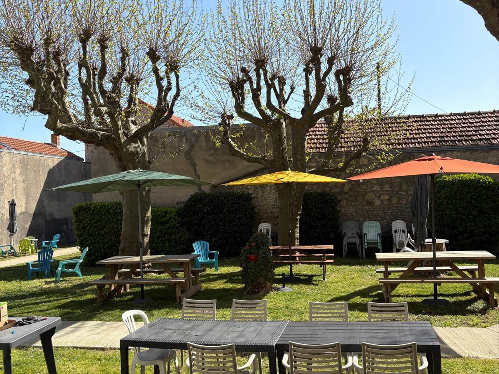 Jardin arrière 2025