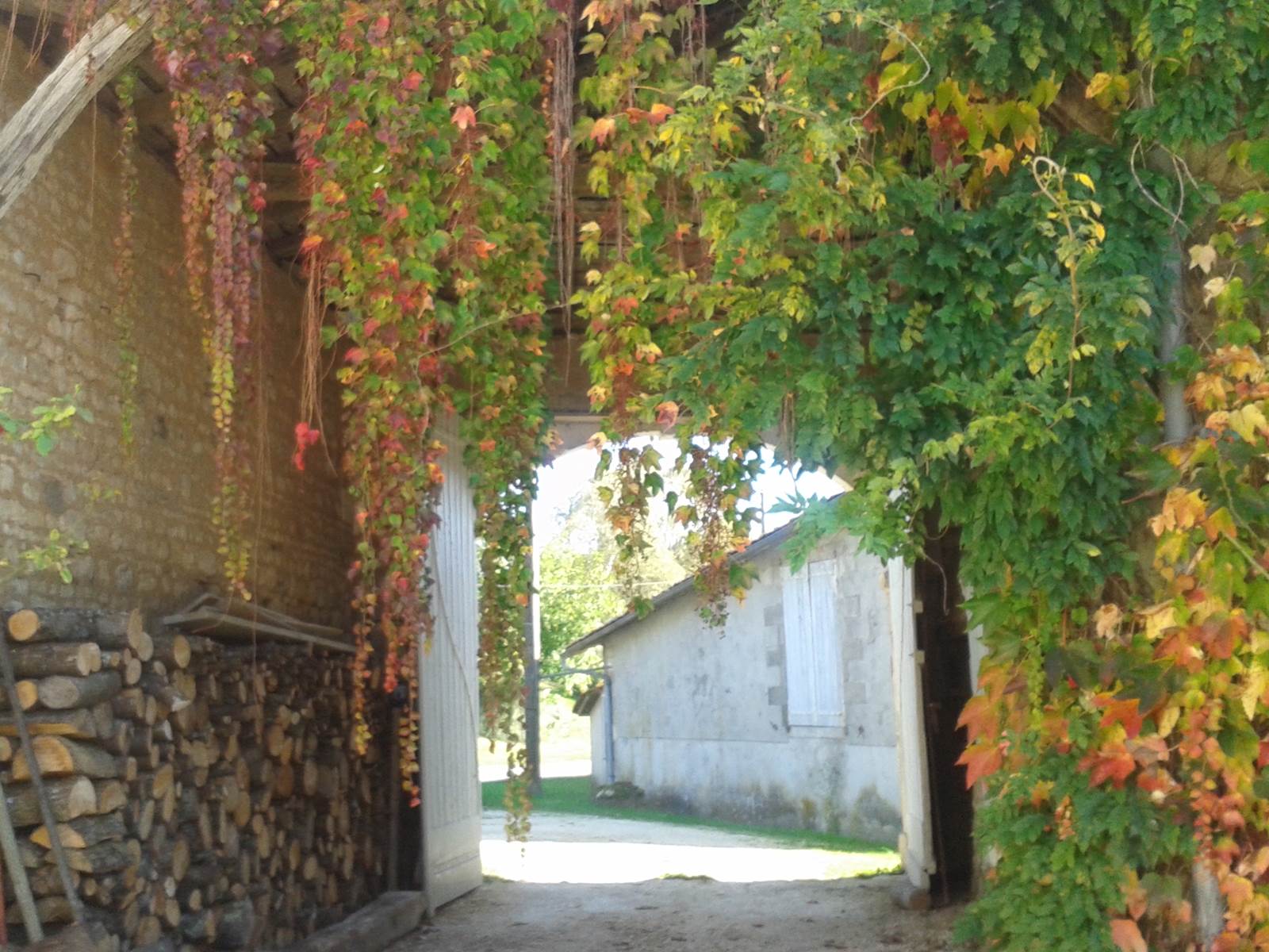 Grand portail-carousel