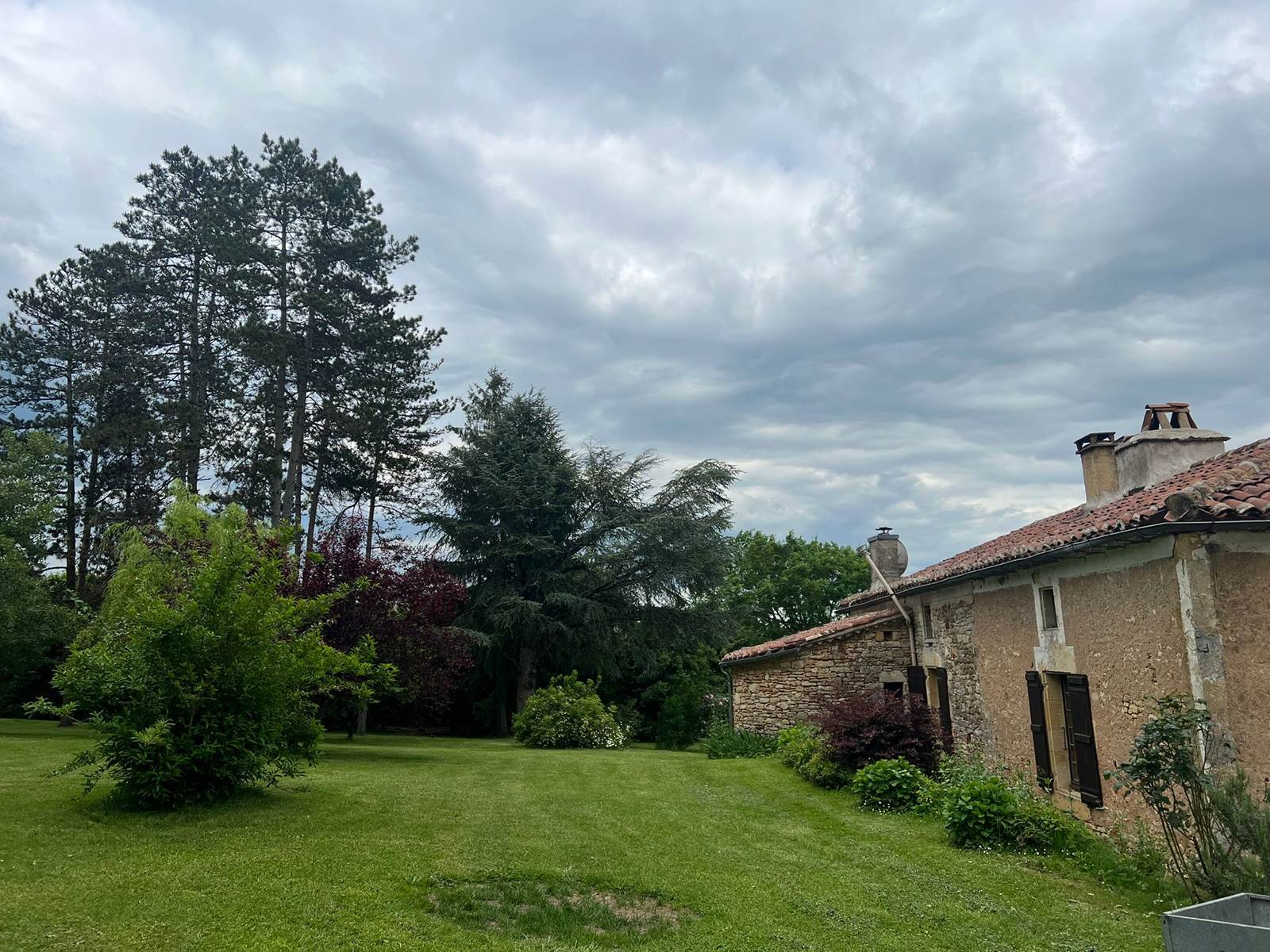 Vue Jardin arboré 4