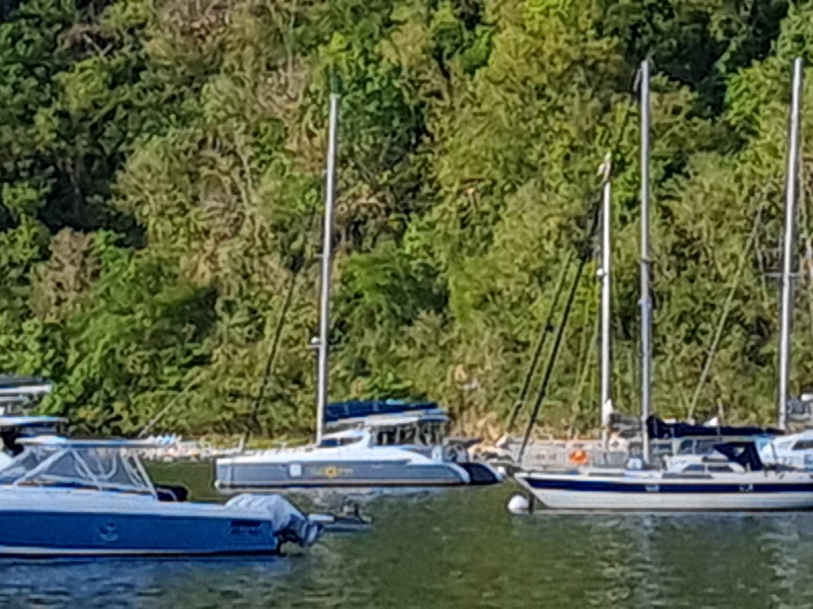 Kaona à la bouée au port de Deshaies 2