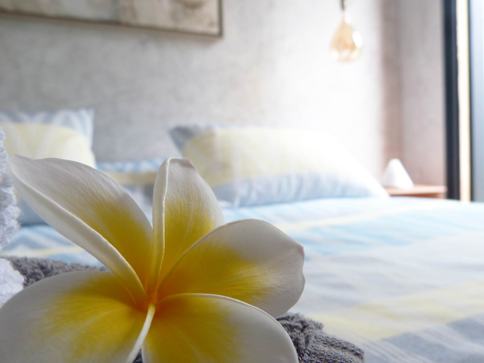 L'Orée du Maïdo - gros plan chambre