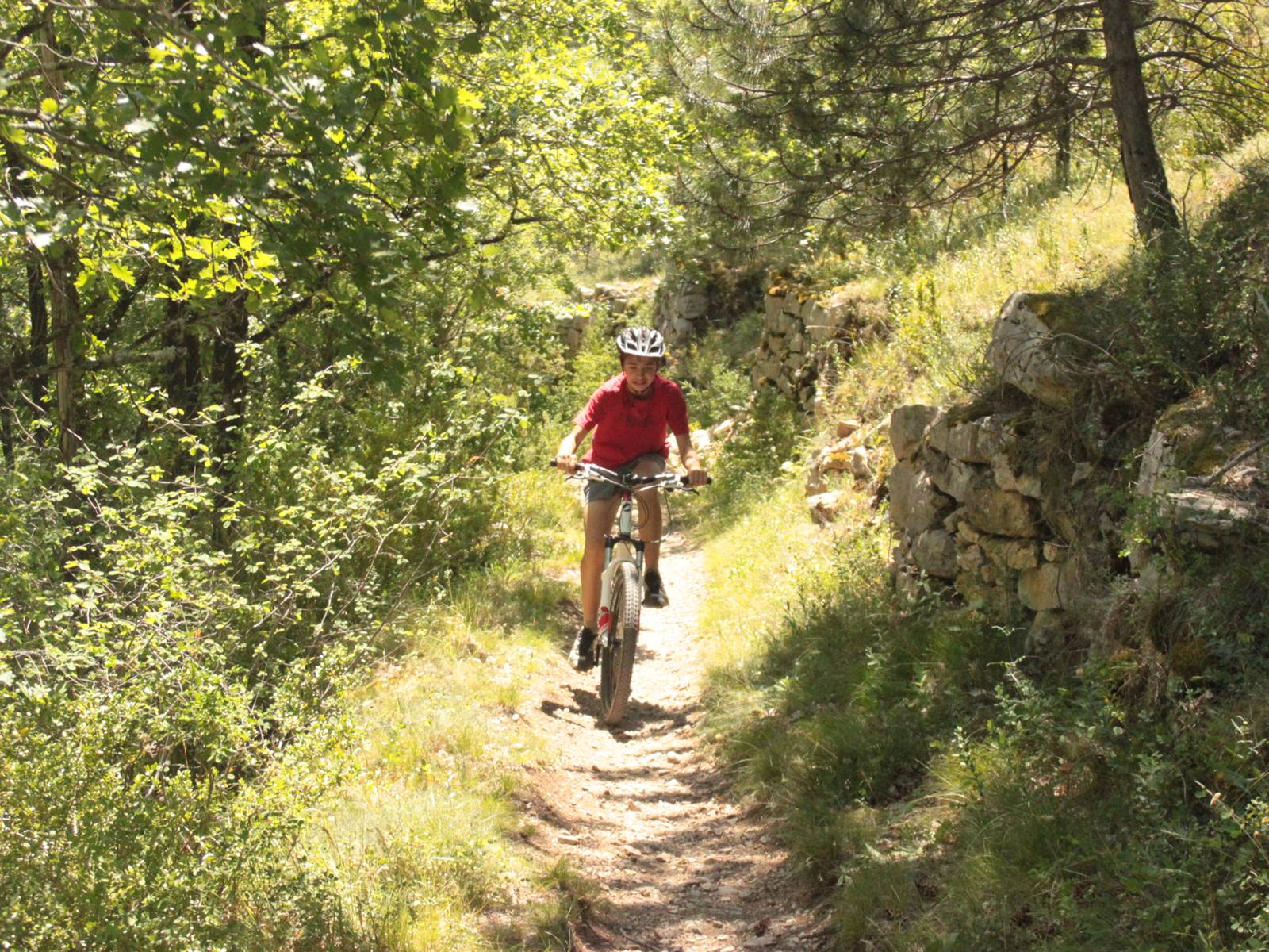 Activités à toute proximité: VTT des milliers de Km de pistes balisées