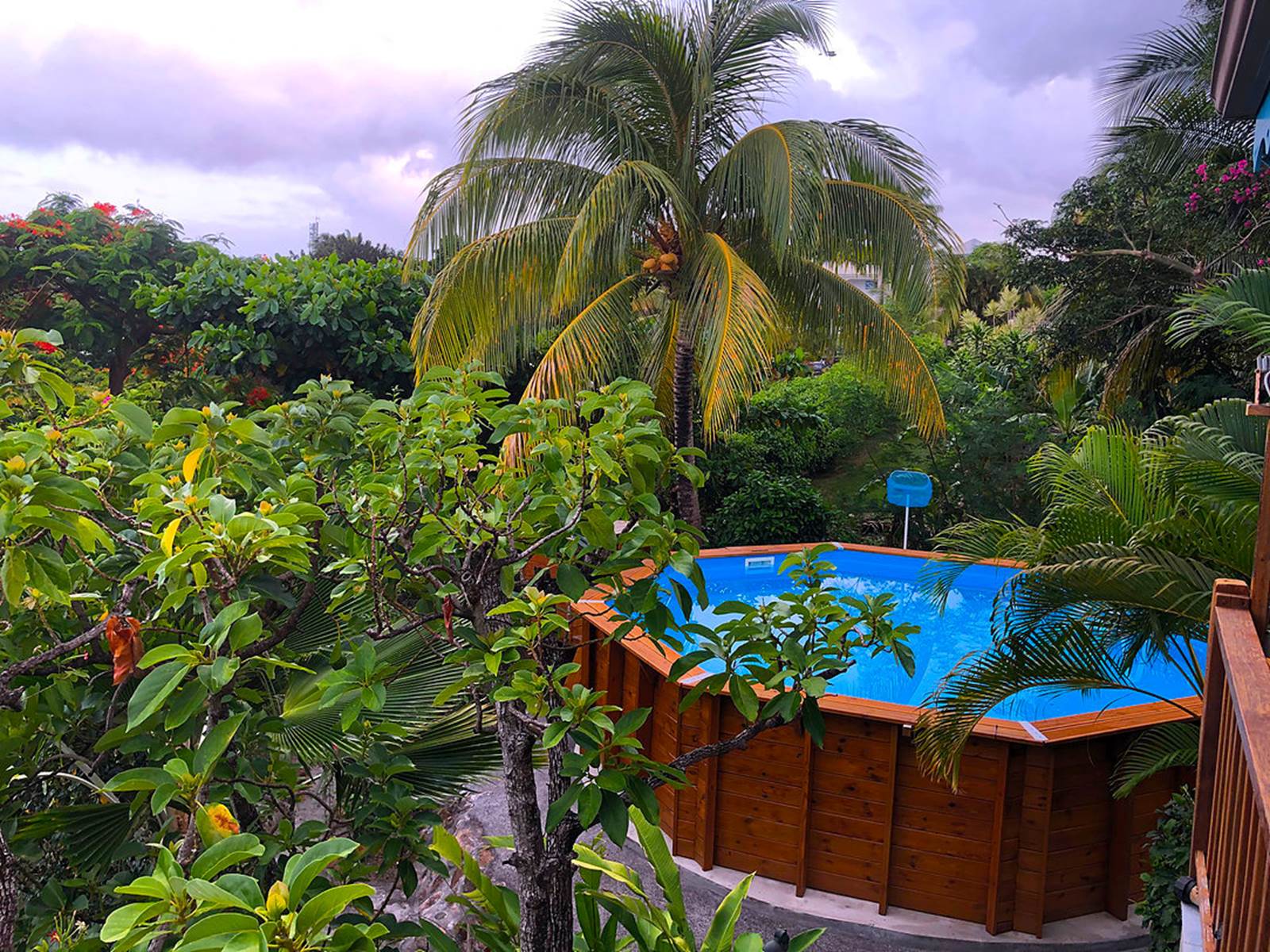 Piscine vue depuis la terrasse du séjour