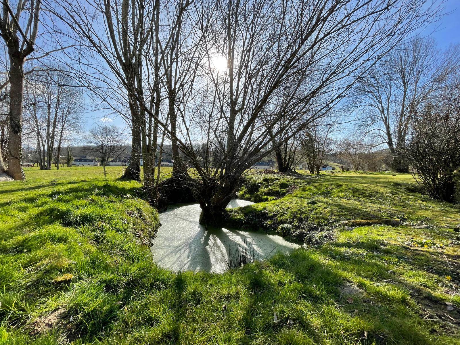 La mare aux grenouilles-carousel